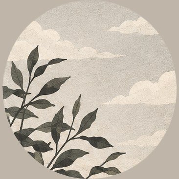 Reaching Upward: leaves against the sky