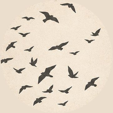 Restless Sky: a flight of birds